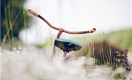 秦阳明每日生肖运势2025年3月14日