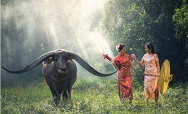 火星位于第十宫：彰显社会精英的强大实力