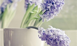 董易姗每日生肖运势2025年3月28日