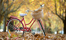 每日生肖运势2025年3月3日（二月初四）