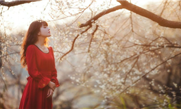 水玲师傅：今日五行能量/五行运势2025年4月18日