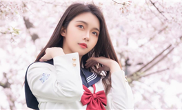 柒爸2025年5月星座运势