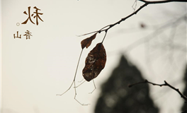 喜欢冷暴力对人对事的星座女