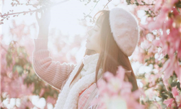 苏民峰:属鼠人2025年4月运势/农历三月/庚辰月(4.4-5.4)