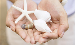 天赋很高！这4大星座超常人的智力