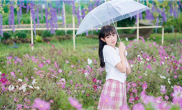 郑博士每日生肖运势2025年5月3日