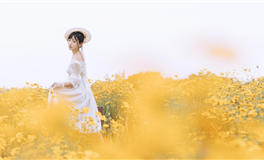 静电鱼狮子座一周运势（5.26-6.1）