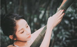 职业之路：探索每一份工作的辛劳与价值