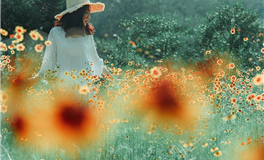 李云天每日生肖运势2025年5月14日