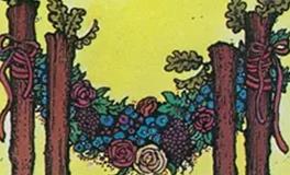 爱莎公主射手座一周塔罗运势（5.19-5.25）