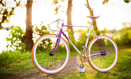 判答摩羯座2025年6月运势