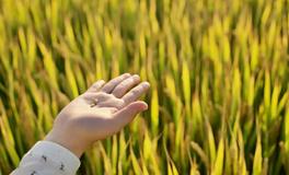 明日小满：十条你必须知道的戒律