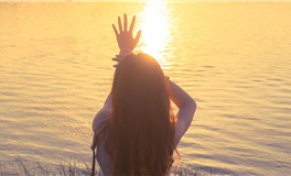 猫咪占星：双鱼座2025年6月运势解析