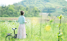 狮子座是一个很强势的星座