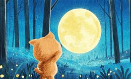 满月降临：回顾与展望，宇宙星象如何引导你实现目标？