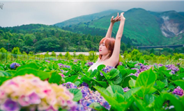 郑博士每日生肖运势2025年6月29日