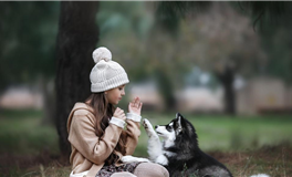 六月财运揭晓：十二生肖财富运势大盘点