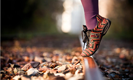 秦阳明每日生肖运势2025年6月26日