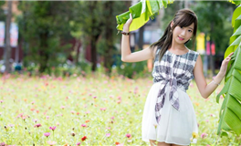 智慧之选：为未婚、已婚、离婚、单身女性量身定制的生活指南！