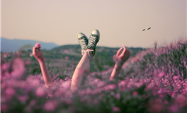 Pandora占星小巫白羊座2025年8月运势