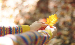 业务能力确实很强，越来越富足的星座女