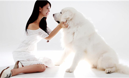 星座之谜：揭秘隐忍与果断并存的独特个性