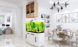 掌握风水鱼的摆放技巧：提升家居气场的秘诀