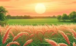 岁运并临"对人的影响真的存在吗？