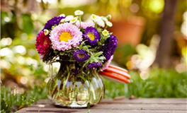 水玲师傅：今日五行能量/五行运势2025年7月4日