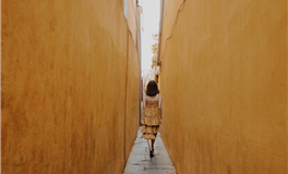 李云天每日生肖运势2025年7月2日