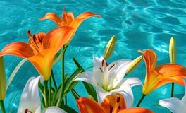 春节前夕，哪些人群有望改变命运？