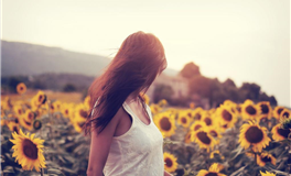 金星闪耀狮子座：十二星座运势大揭秘！