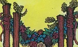 爱莎公主处女座一周塔罗运势（8.4-8.10）