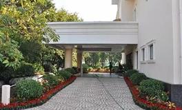 催财良方：花草植物的神奇力量