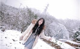 滴天居士2025年8月17日生肖运势