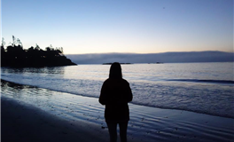 海百合狮子座本周运势（8.4-8.10）