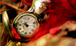 占星小辣椒2025年8月23日十二星座运势