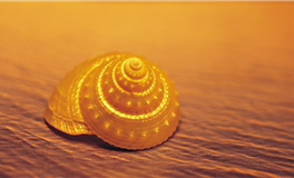 Ezoey徐佩玲天秤座一周运势（8.18-8.24）