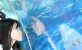 马乔丽2025年9月星座运势