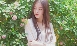 洞察女性择偶观：她们究竟看重哪些特质？