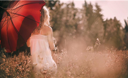 滴天居士：十月份12生肖的建议