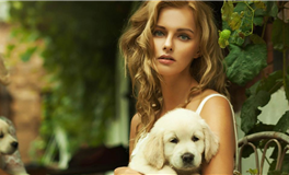 龙强虎弱：风水知识解析明堂宽窄对吉凶的影响