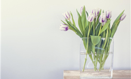 日运 2025年9月4日 星期四 农历七月十三