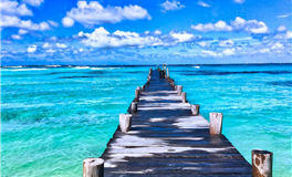 猫咪占星：2025年10月运势和天象解读