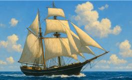 角色大揭秘：一艘船心测，探寻你的团队【隐藏角色】