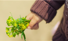 占星小辣椒2025年10月30日十二星座运势