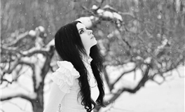 艾菲尔十二星座2025年11月运势