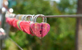 每日生肖运势2025年10月10日（八月十九）