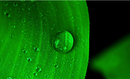 婚姻中的星座：揭秘婚后易后悔的星座