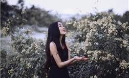 郑博士每日生肖运势2025年10月27日